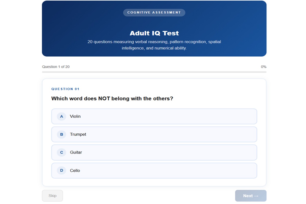 free iq test for online adults questions